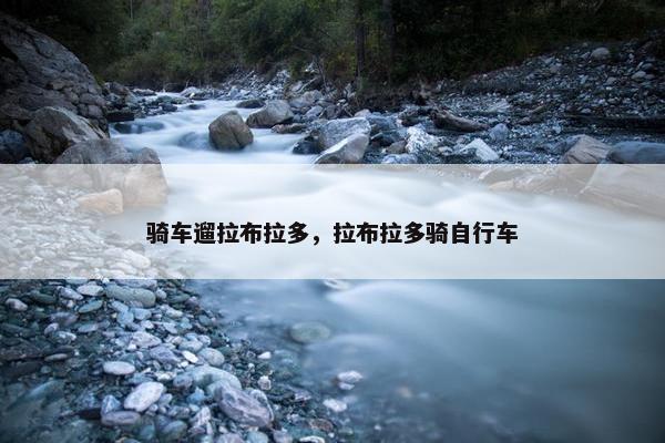 骑车遛拉布拉多，拉布拉多骑自行车