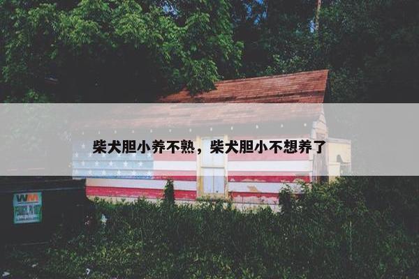 柴犬胆小养不熟，柴犬胆小不想养了