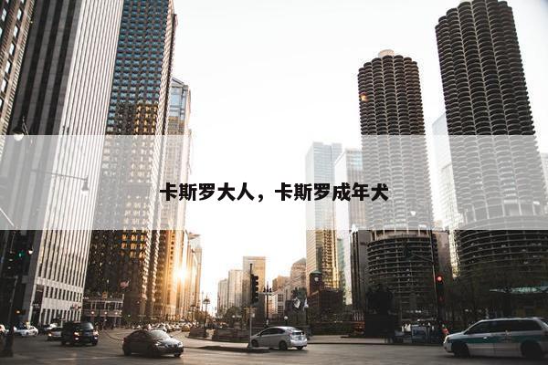 卡斯罗大人，卡斯罗成年犬