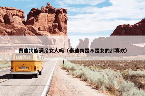 泰迪狗能满足女人吗（泰迪狗是不是女的都喜欢）