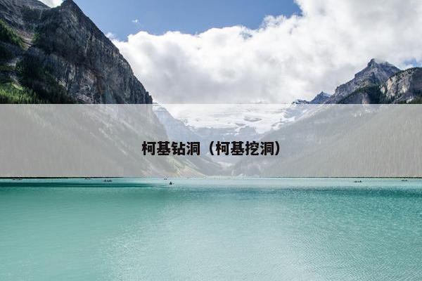 柯基钻洞（柯基挖洞）