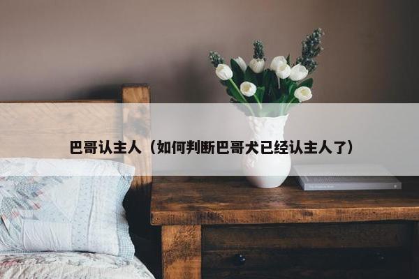 巴哥认主人（如何判断巴哥犬已经认主人了）