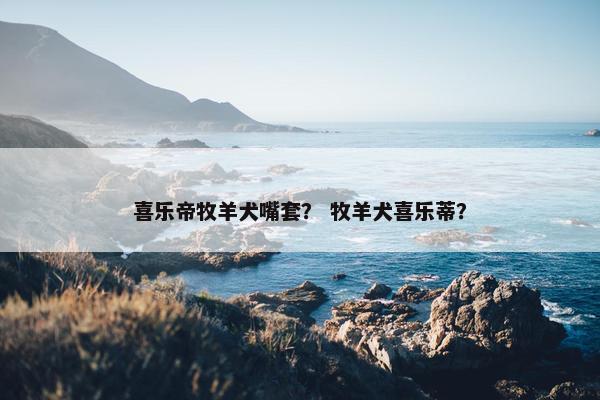 喜乐帝牧羊犬嘴套？ 牧羊犬喜乐蒂？