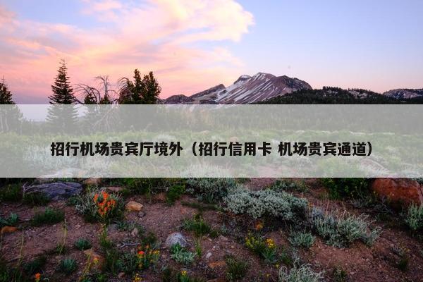招行机场贵宾厅境外（招行信用卡 机场贵宾通道）