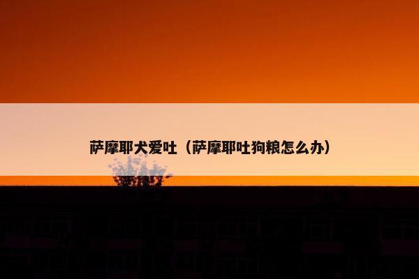 萨摩耶犬爱吐（萨摩耶吐狗粮怎么办）