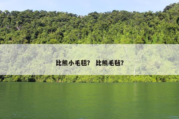 比熊小毛毯？ 比熊毛毡？