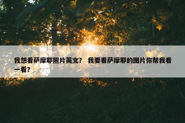 我想看萨摩耶照片英文？ 我要看萨摩耶的图片你帮我看一看？