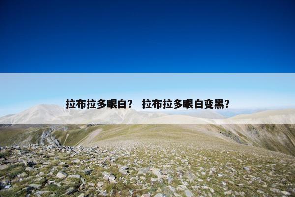拉布拉多眼白？ 拉布拉多眼白变黑？
