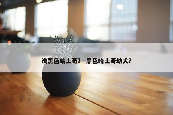 浅黑色哈士奇？ 黑色哈士奇幼犬？