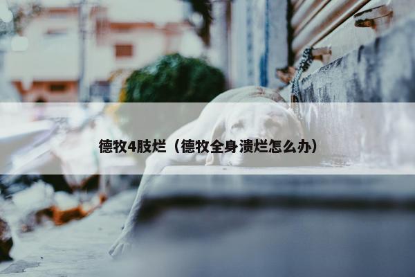 德牧4肢烂（德牧全身溃烂怎么办）