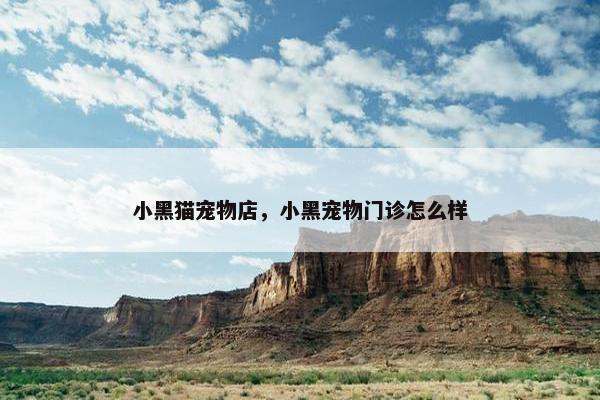 小黑猫宠物店，小黑宠物门诊怎么样