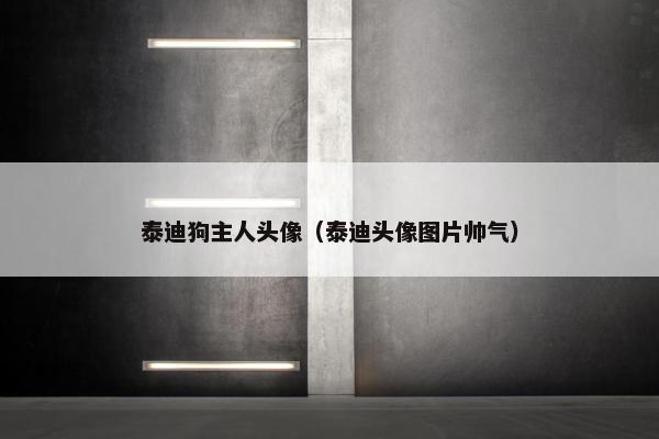 泰迪狗主人头像（泰迪头像图片帅气）