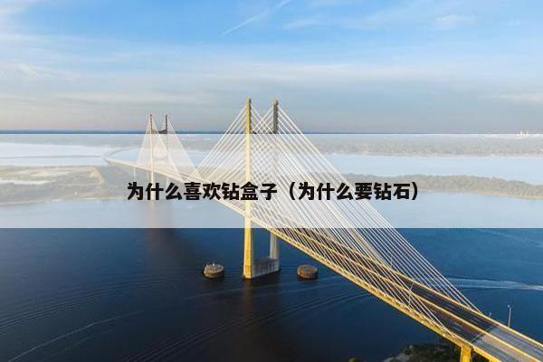 为什么喜欢钻盒子（为什么要钻石）