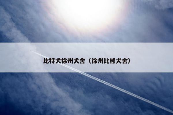 比特犬徐州犬舍（徐州比熊犬舍）