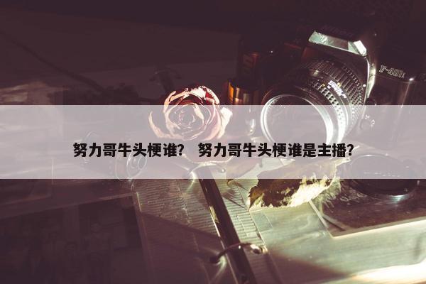 努力哥牛头梗谁？ 努力哥牛头梗谁是主播？