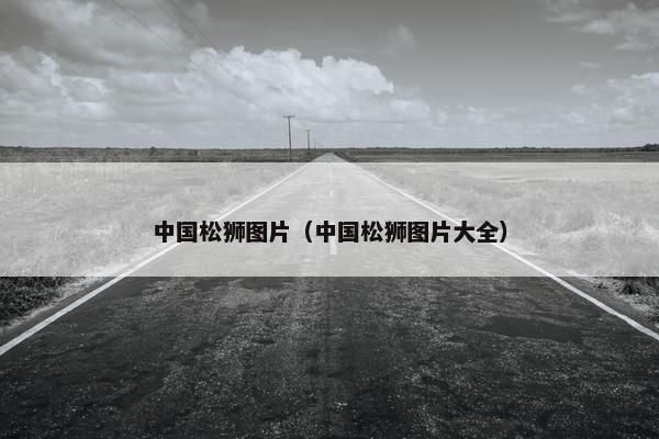 中国松狮图片（中国松狮图片大全）