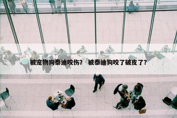被宠物狗泰迪咬伤？ 被泰迪狗咬了破皮了？