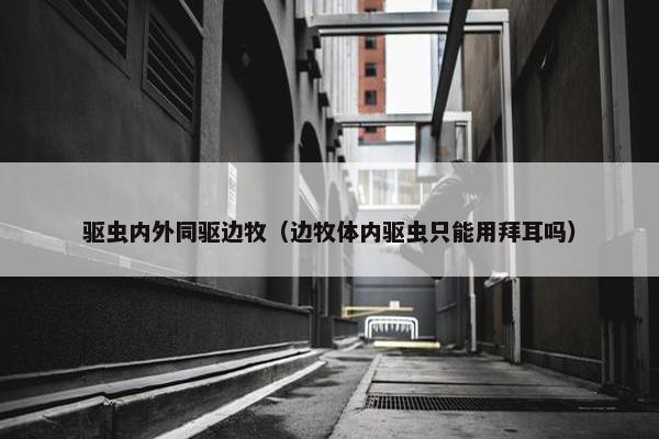 驱虫内外同驱边牧（边牧体内驱虫只能用拜耳吗）