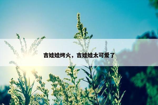 吉娃娃烤火，吉娃娃太可爱了