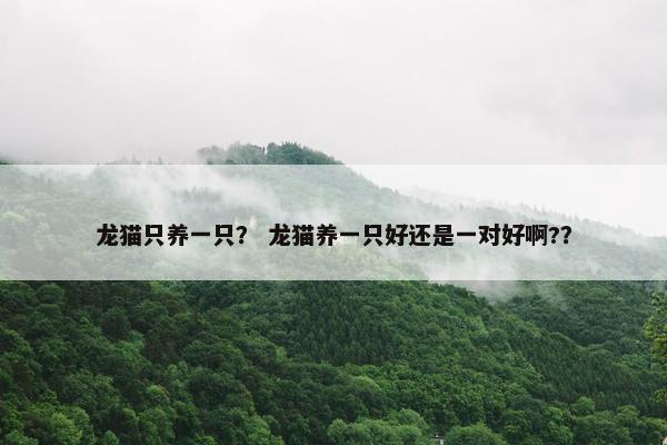 龙猫只养一只？ 龙猫养一只好还是一对好啊?？