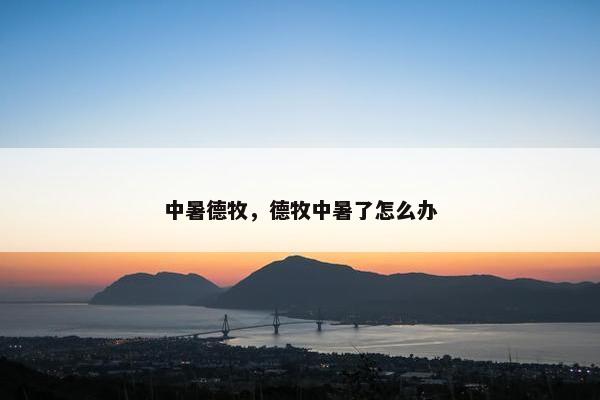 中暑德牧，德牧中暑了怎么办