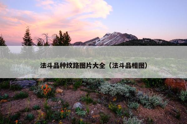 法斗品种纹路图片大全（法斗品相图）