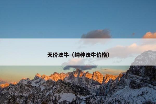 天价法牛（纯种法牛价格）