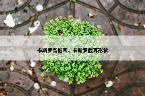 卡斯罗高低耳，卡斯罗裁耳形状