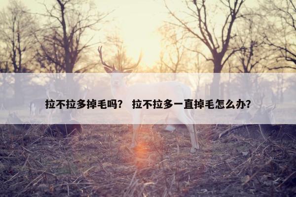 拉不拉多掉毛吗？ 拉不拉多一直掉毛怎么办？