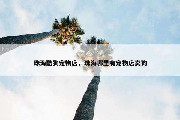 珠海酷狗宠物店，珠海哪里有宠物店卖狗