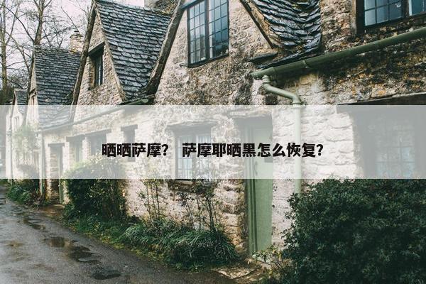 晒晒萨摩？ 萨摩耶晒黑怎么恢复？