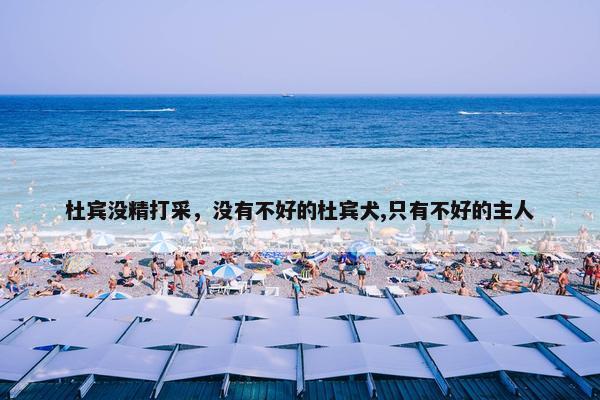 杜宾没精打采，没有不好的杜宾犬,只有不好的主人