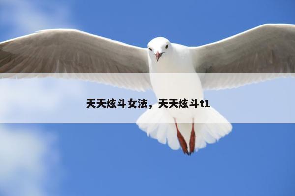 天天炫斗女法，天天炫斗t1