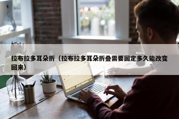 拉布拉多耳朵折（拉布拉多耳朵折叠需要固定多久能改变回来）