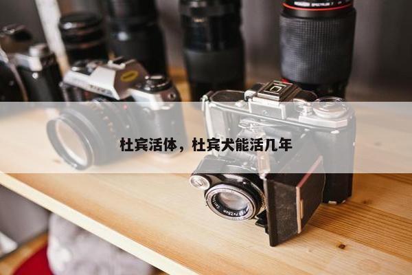 杜宾活体，杜宾犬能活几年