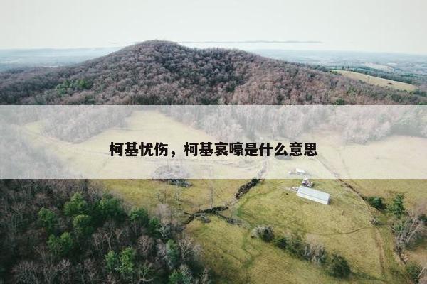 柯基忧伤，柯基哀嚎是什么意思
