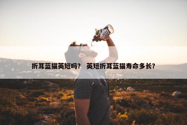 折耳蓝猫英短吗？ 英短折耳蓝猫寿命多长？