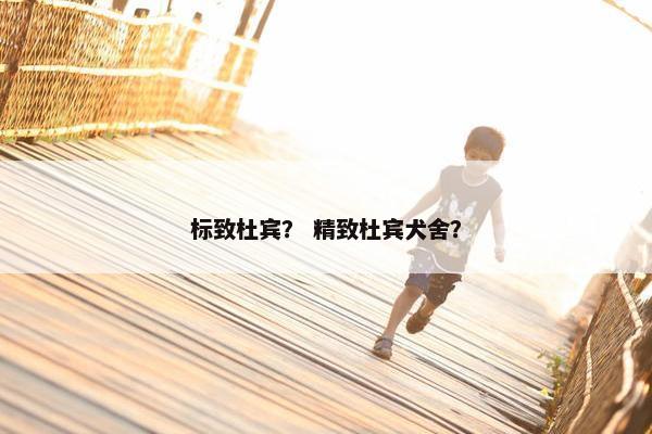 标致杜宾？ 精致杜宾犬舍？