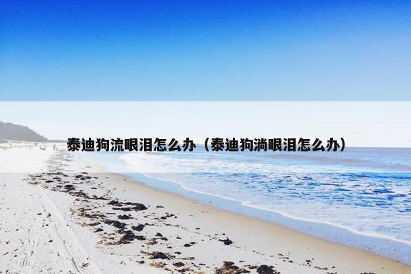 泰迪狗流眼泪怎么办（泰迪狗淌眼泪怎么办）