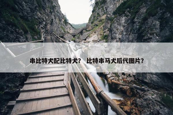 串比特犬配比特犬？ 比特串马犬后代图片？