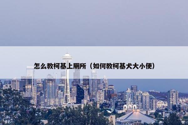 怎么教柯基上厕所（如何教柯基犬大小便）