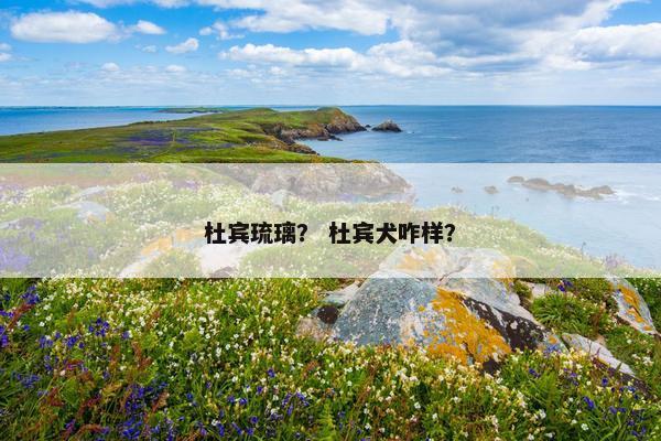 杜宾琉璃？ 杜宾犬咋样？