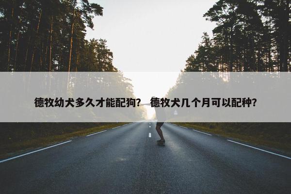 德牧幼犬多久才能配狗？ 德牧犬几个月可以配种？