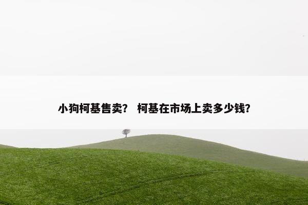 小狗柯基售卖？ 柯基在市场上卖多少钱？