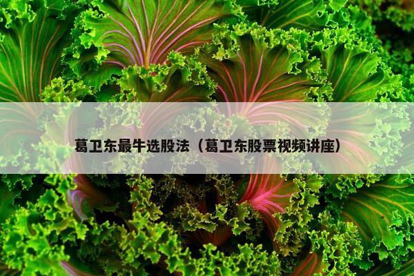 葛卫东最牛选股法（葛卫东股票视频讲座）