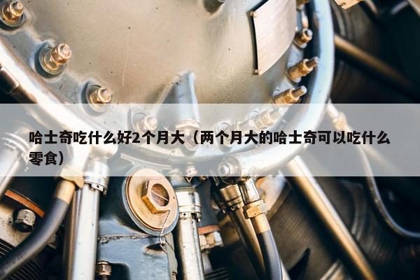 哈士奇吃什么好2个月大（两个月大的哈士奇可以吃什么零食）