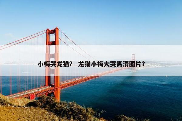 小梅哭龙猫？ 龙猫小梅大哭高清图片？