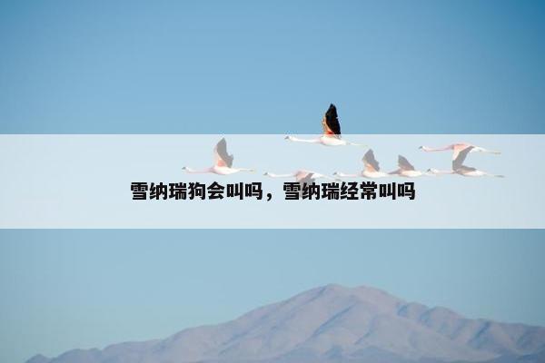 雪纳瑞狗会叫吗，雪纳瑞经常叫吗