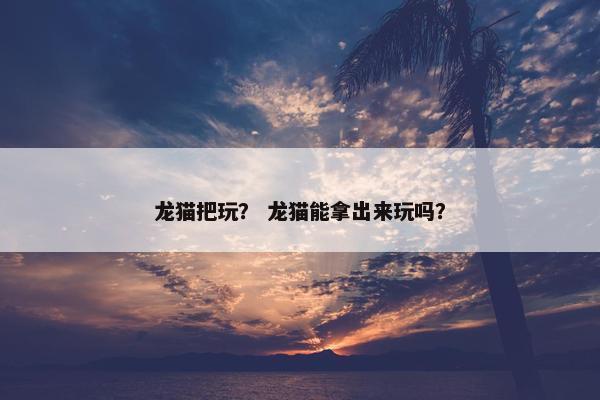 龙猫把玩？ 龙猫能拿出来玩吗？