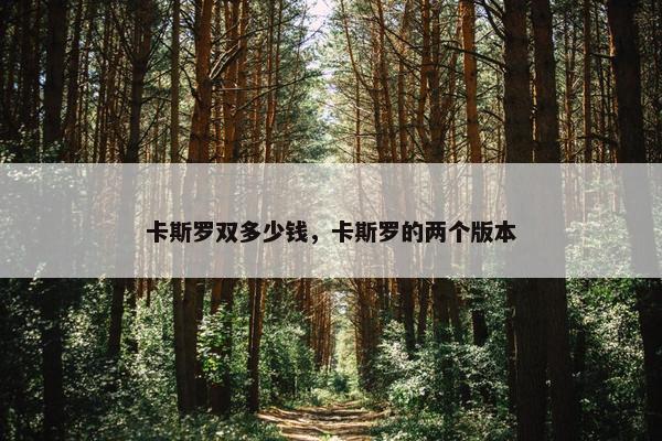 卡斯罗双多少钱，卡斯罗的两个版本